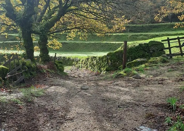 Casas De Bouro 2 Casa Dos Jarros 木屋 特拉什杜博鲁