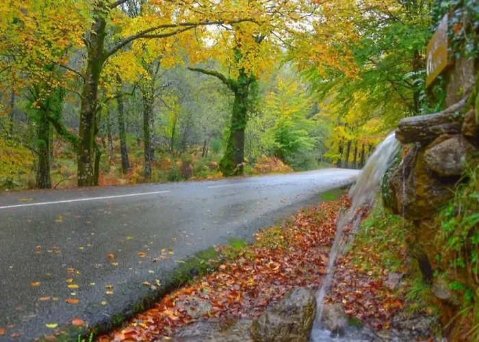 Casas De Bouro 2 Casa Dos Jarros 木屋 *