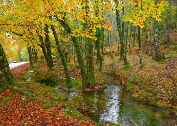 木屋 Casas De Bouro 2 Casa Dos Jarros 特拉什杜博鲁